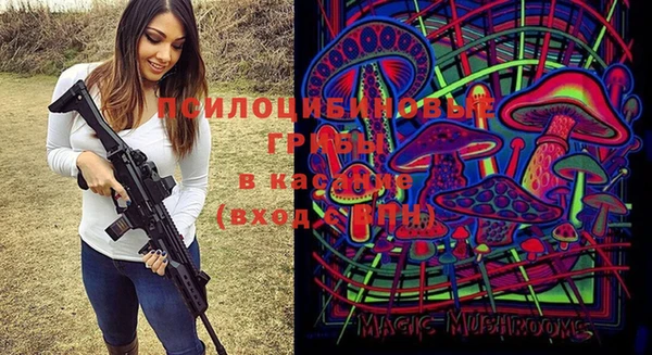 ПСИЛОЦИБИНОВЫЕ ГРИБЫ Волоколамск