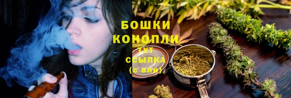ПСИЛОЦИБИНОВЫЕ ГРИБЫ Волоколамск