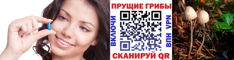 darknet телеграм  купить наркоту  Химки  Псилоцибиновые грибы ЛСД 